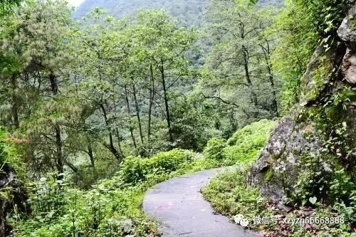 春运预约订票信息预约订单不能再次提交新攻略