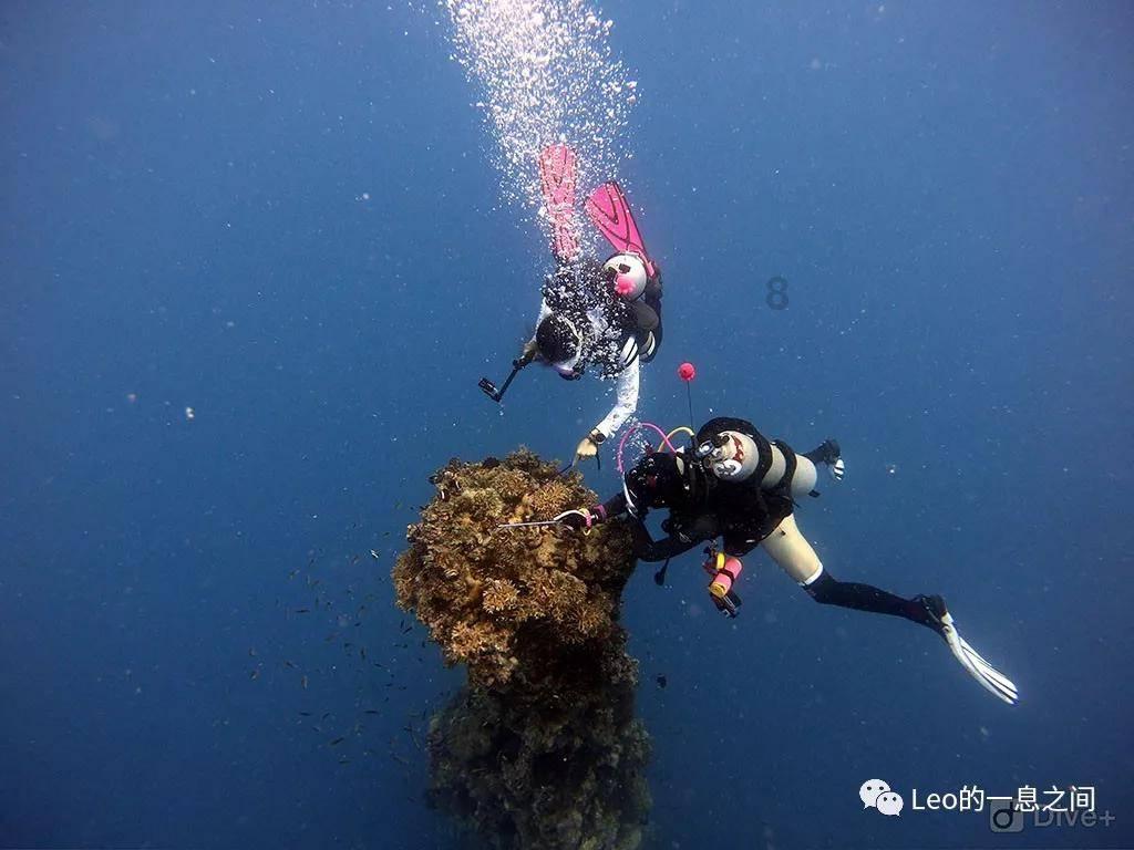 逃离水虎鱼湖