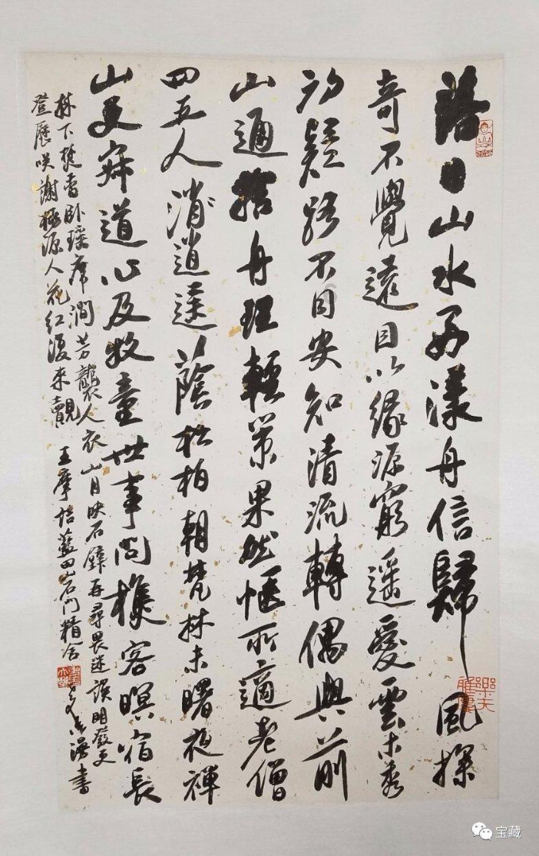寻找萌小老虎
